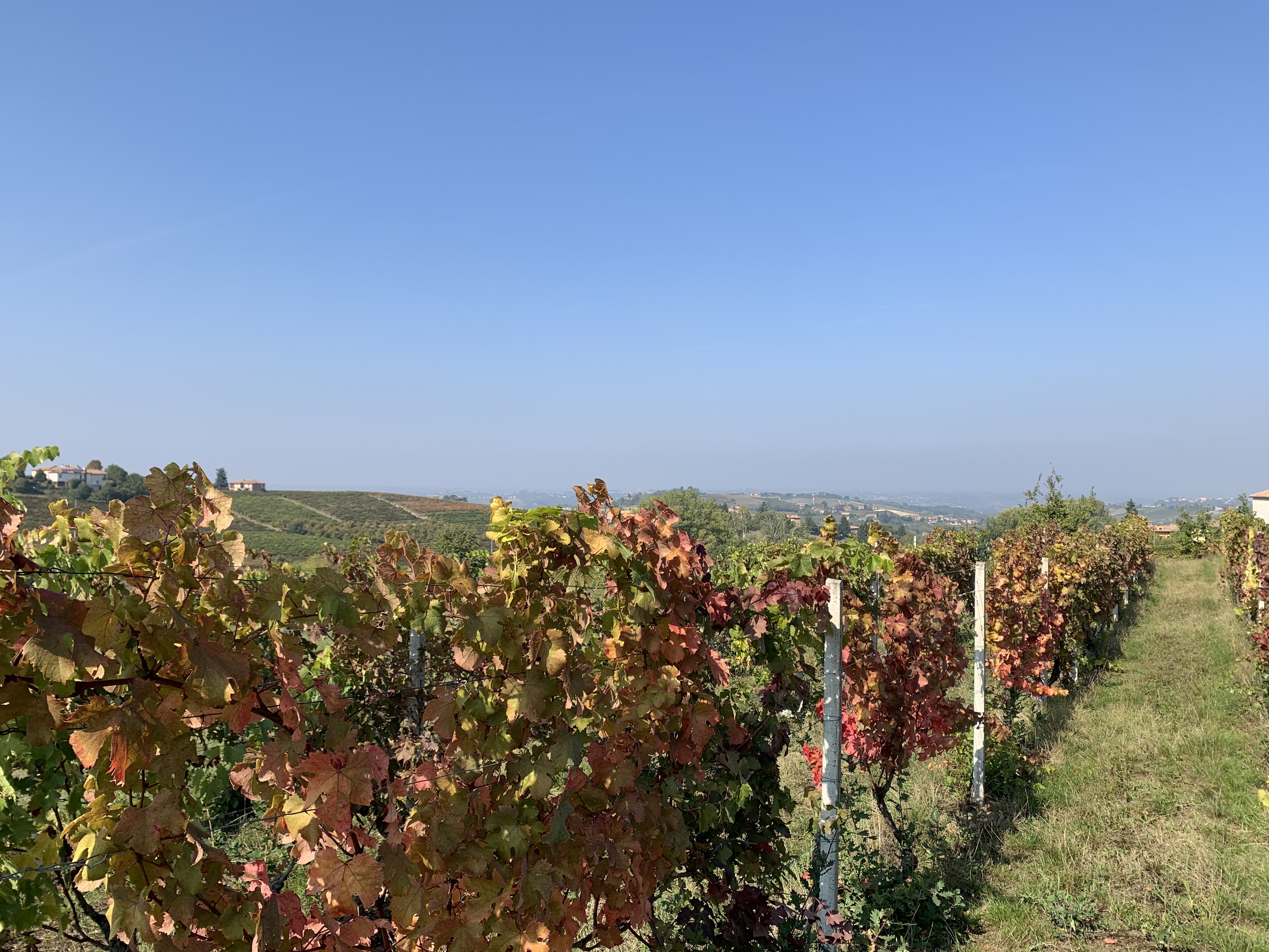 IMG_7564.jpeg IMG_7564.jpeg