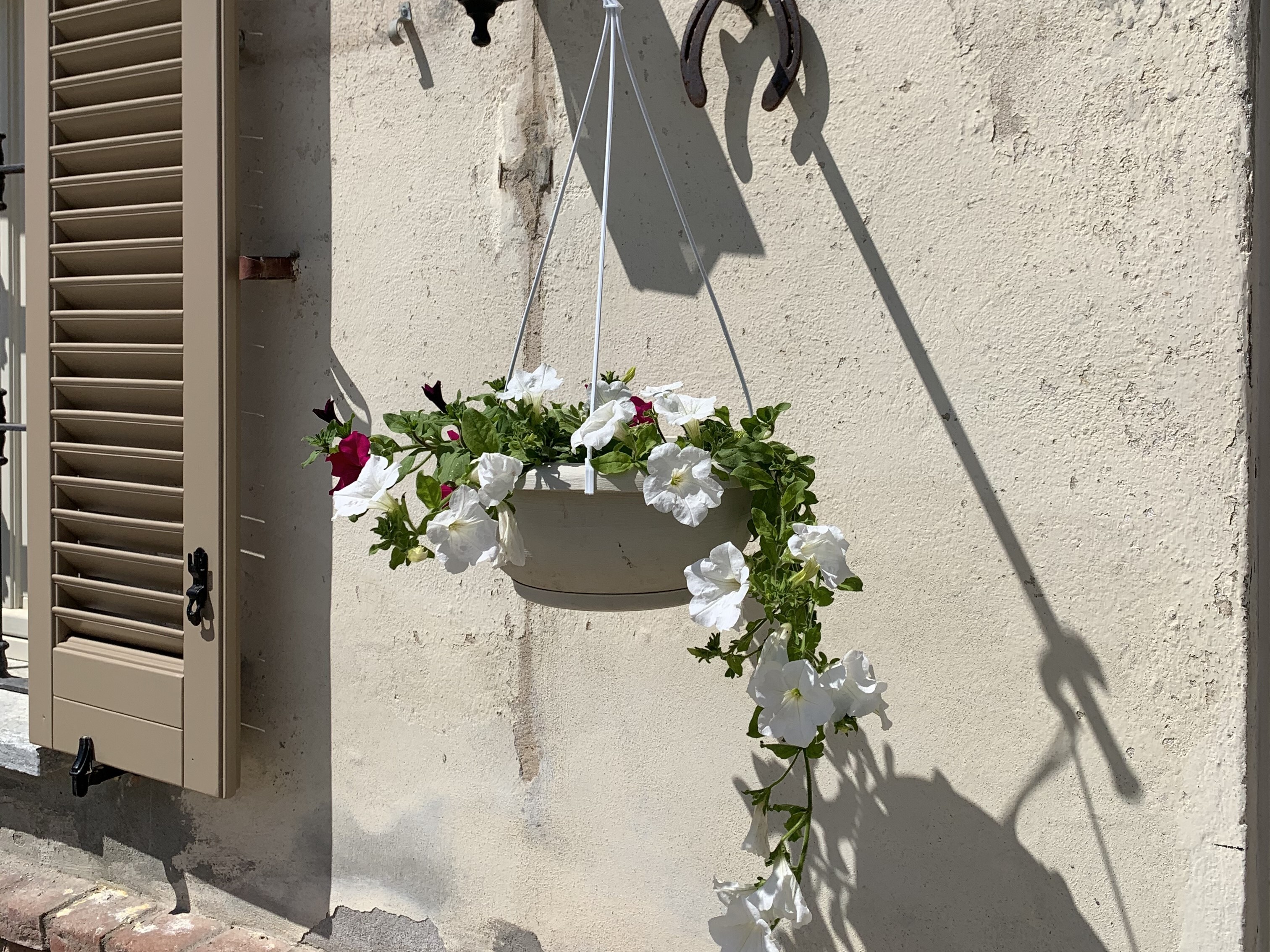 Buiten.2.jpg Buiten.2.jpg