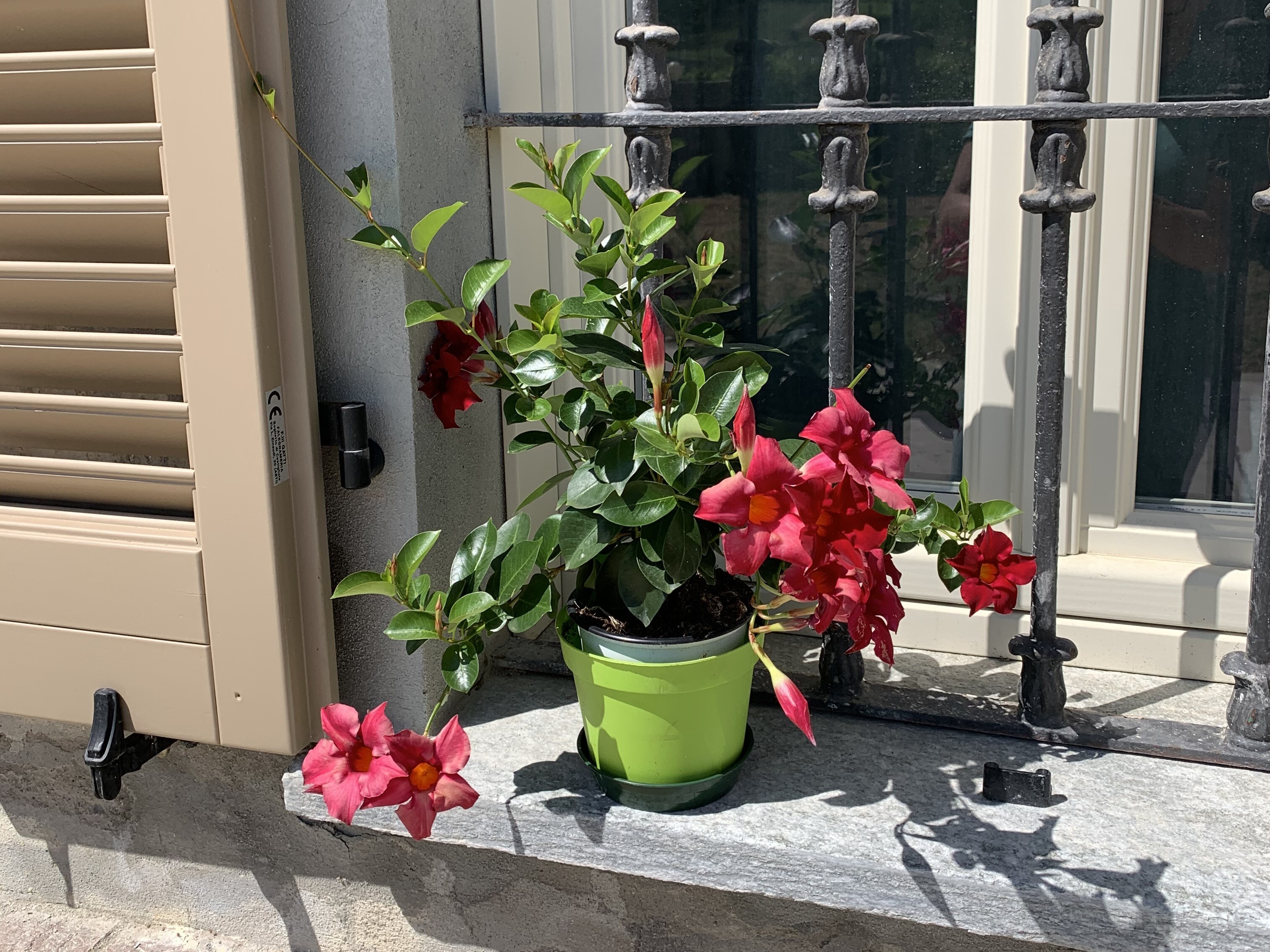 Buiten.jpg Buiten.jpg