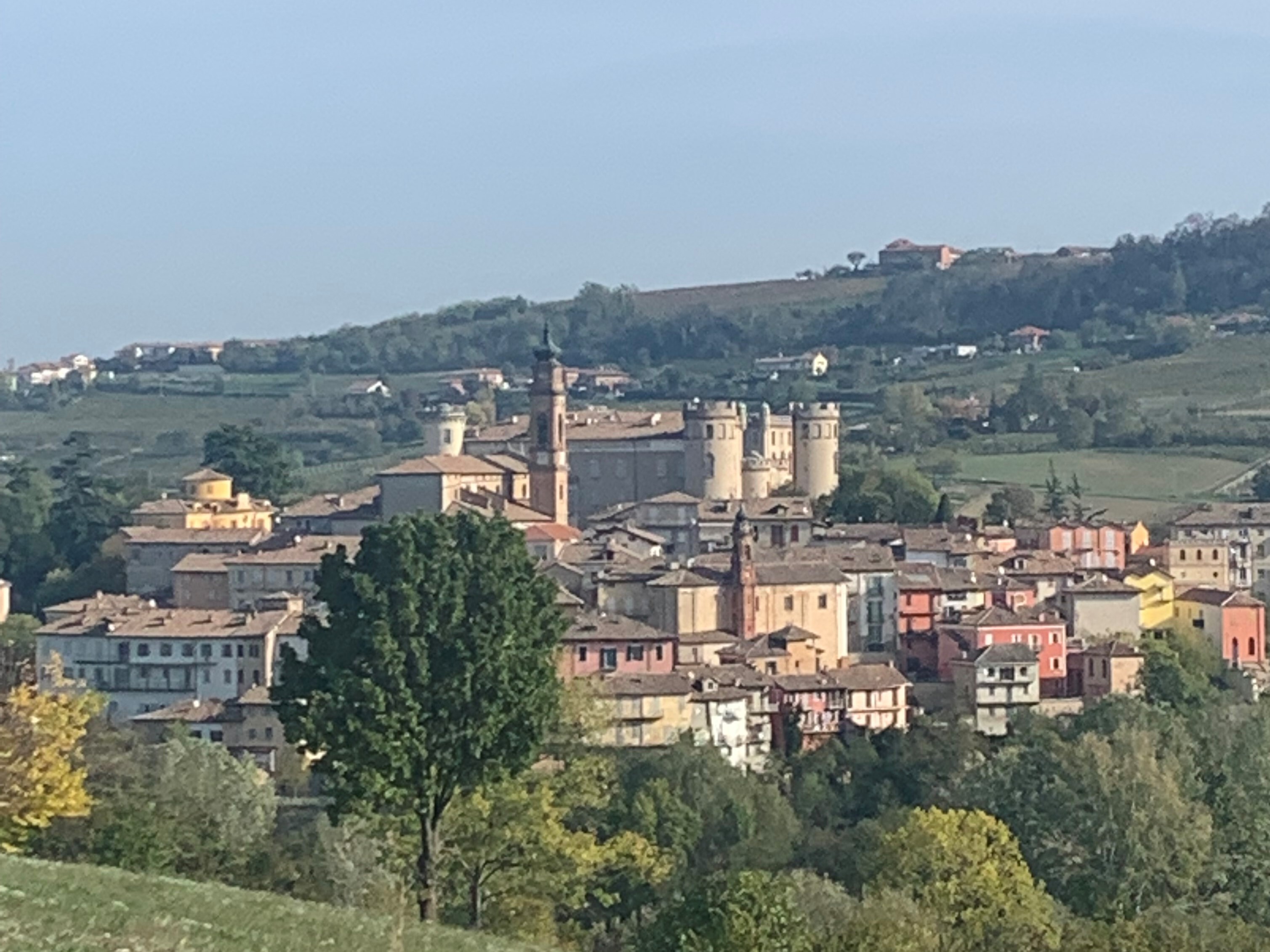 IMG_8999_2_.jpeg IMG_8999_2_.jpeg